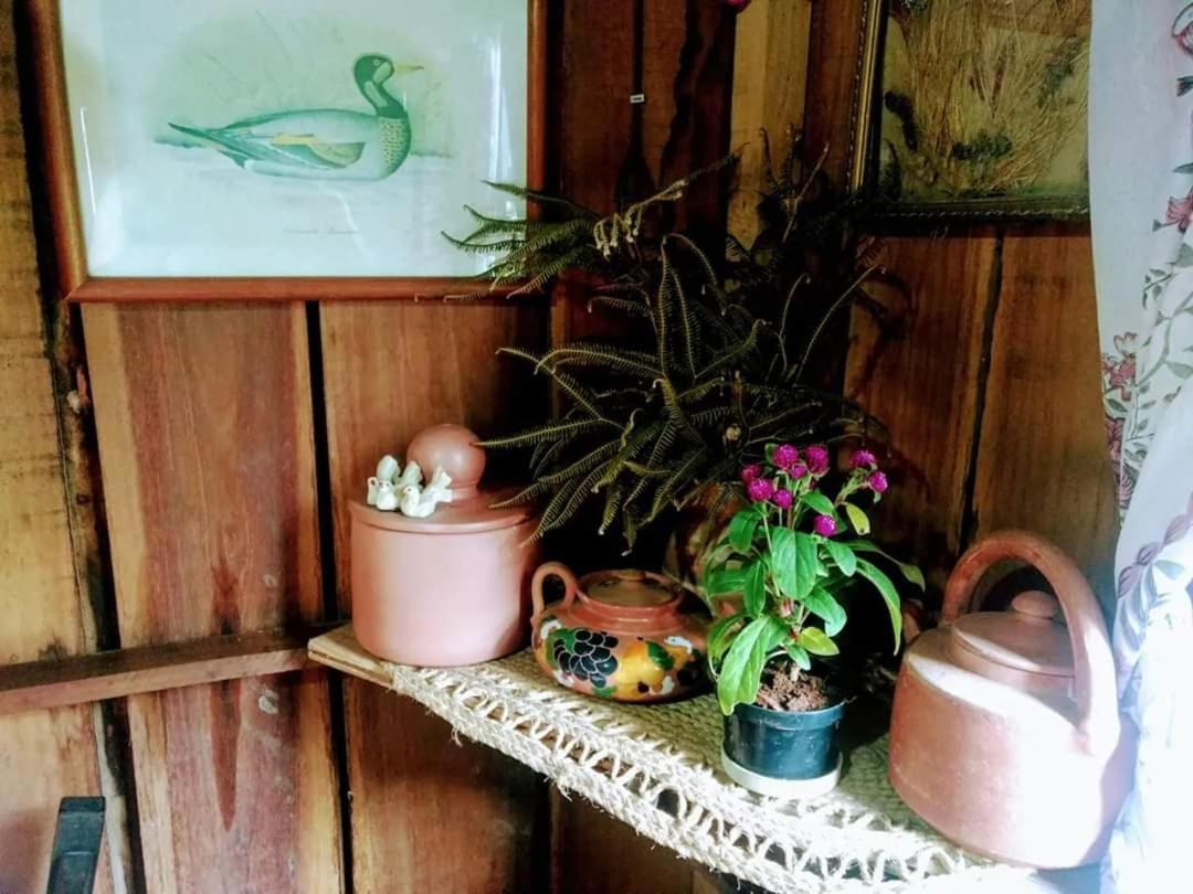 Cabana Rustica Calabresi Villa Osorio Dış mekan fotoğraf
